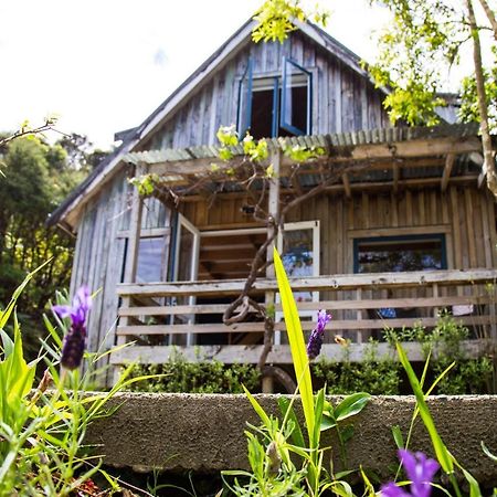 Fern Lodge Coromandel Exterior photo