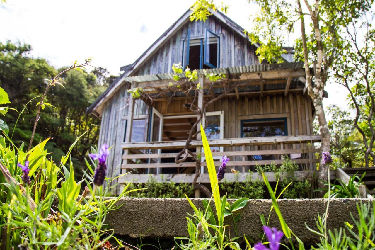 Fern Lodge Coromandel Exterior photo